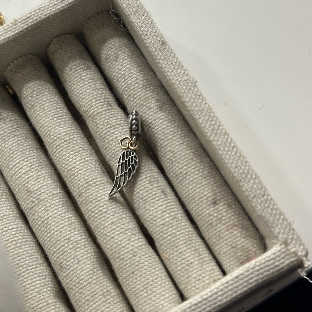 Pandora charm
